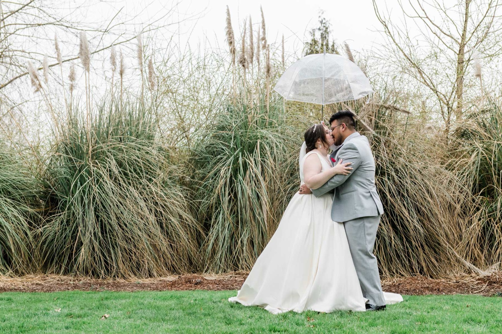 Bride and groom kiss under a clear umbrella in front of tall pampas grass at Green Villa Barn