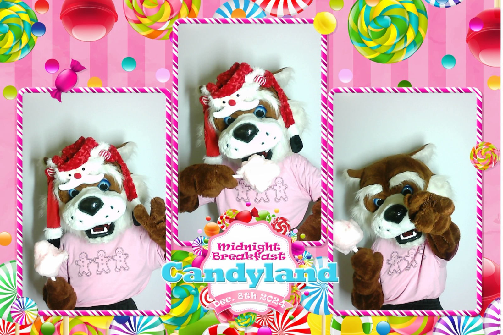 Photo booth collage of a dog mascot in a Santa hat eating cotton candy, Midnight Breakfast Candyland template, Dec 8 2024